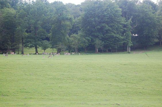 DSC_0056 [50%] [50%].JPG